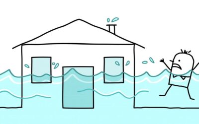 What To Do If You Have Water Damage in Toronto