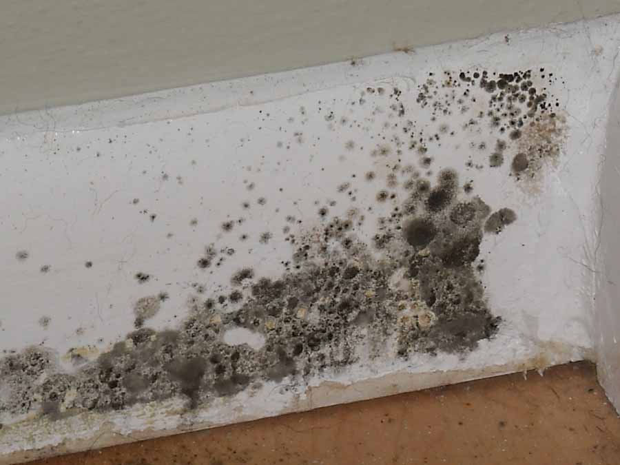 Signs of water damage and mold growth in various shades of grey and black clustered in the corner of a white wall meeting a tiled floor, indicating moisture issues and poor ventilation.